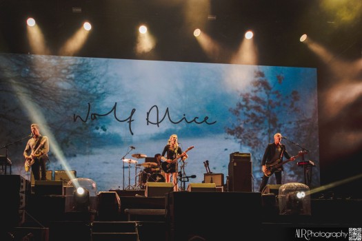 WOLF ALICE