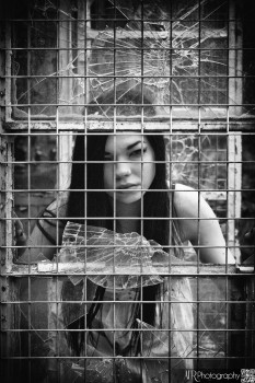 El Fen - Barrow Gurney