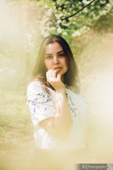 Boro Kovacs B - Spring