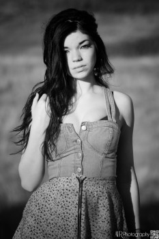 El Fen - Fields of Gold