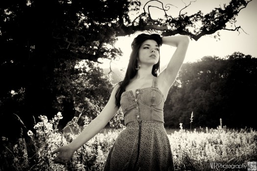 El Fen - Fields of Gold