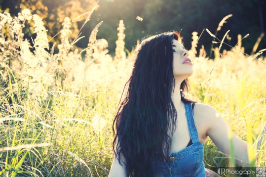 El Fen - Fields of Gold