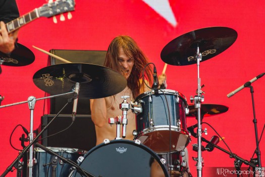 THE LAST INTERNATIONALE