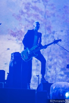 WOLF ALICE