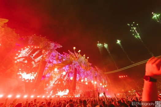 Steve Aoki at Untold Festival