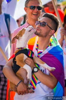 Cluj Pride Festival