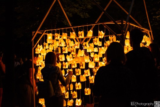 Festival of Light