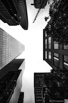 Looking Up in San Francisco