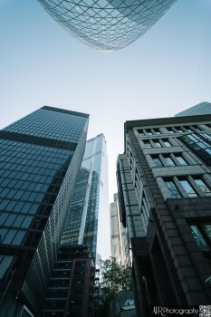 Different Perspective 2