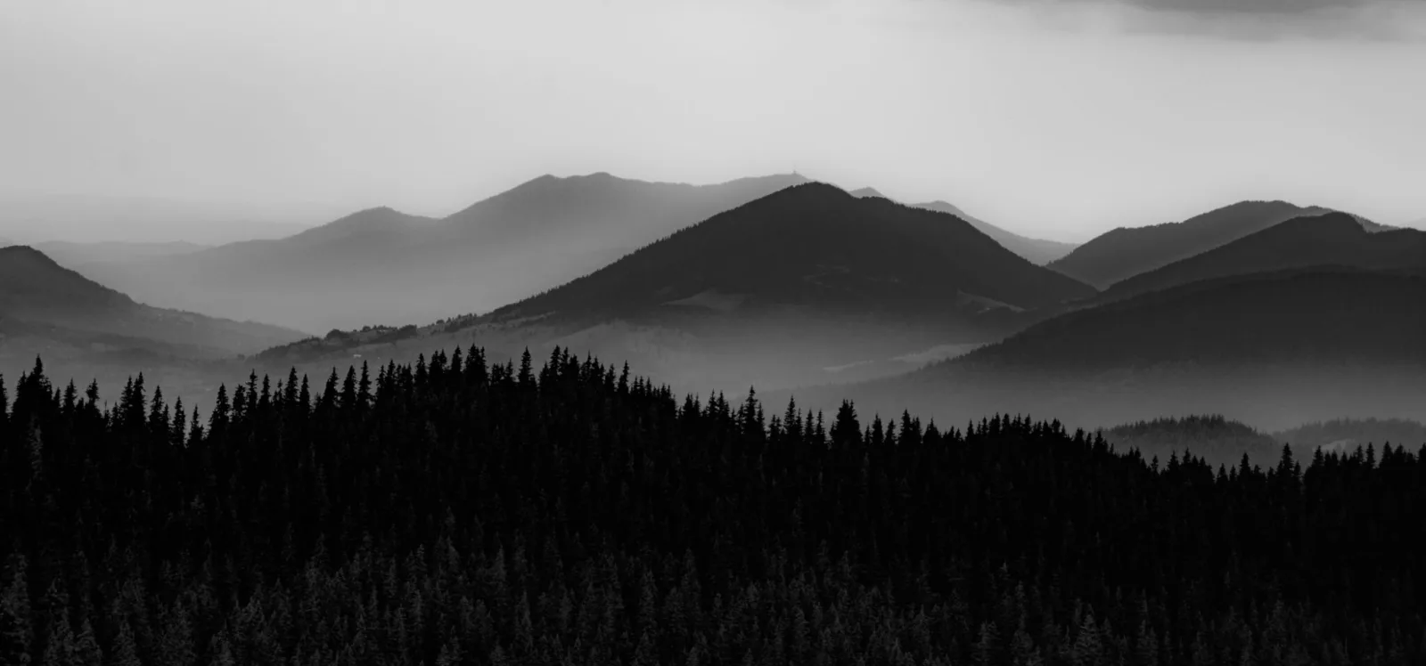 Grey Scale